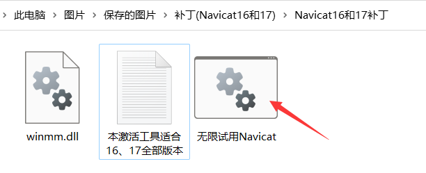 图片[3] - (2024最新) Navicat Premium 17破解激活永久教程 - 正则时光